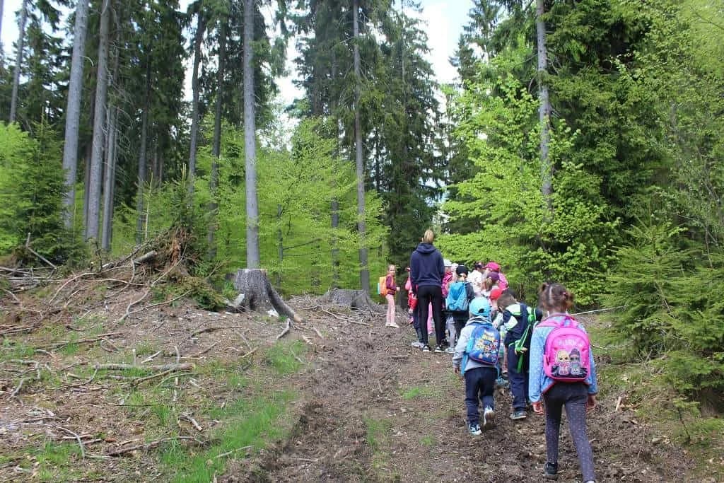Fotografie z článku: Ozdravný školní pobyt – MŠ