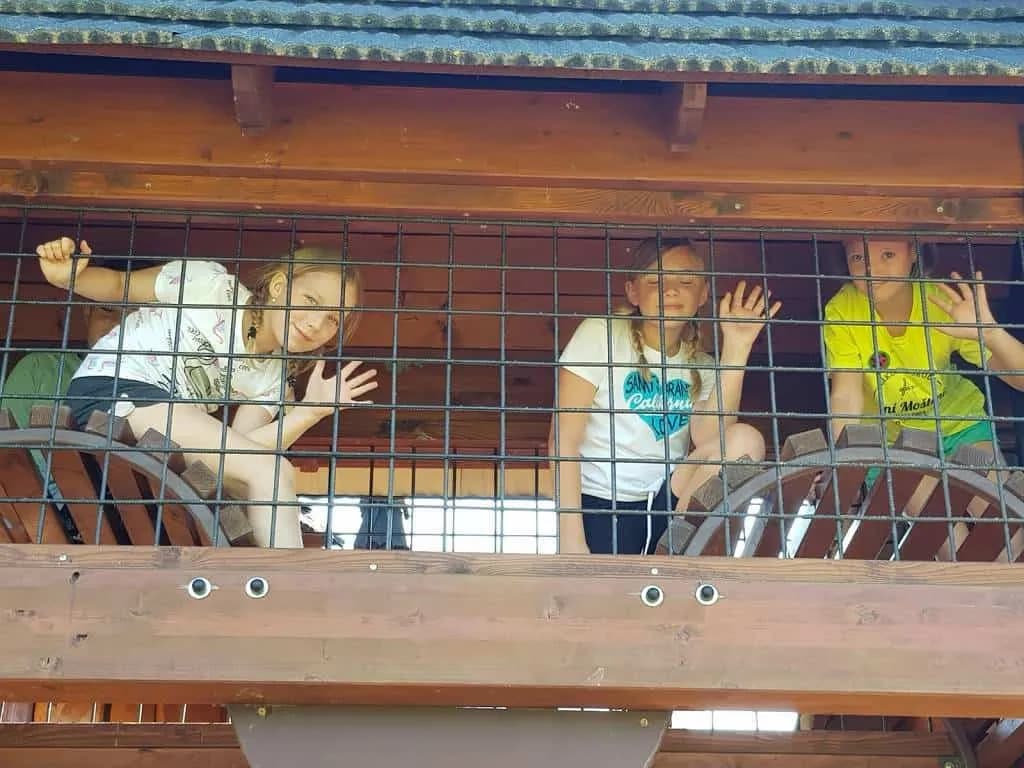 Fotografie z článku: Škola v přírodě - Březová