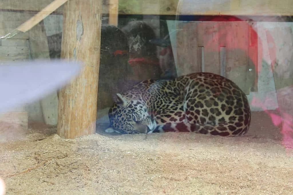 Fotografie z článku: Výlet Sluníček a Koťat do Lešné
