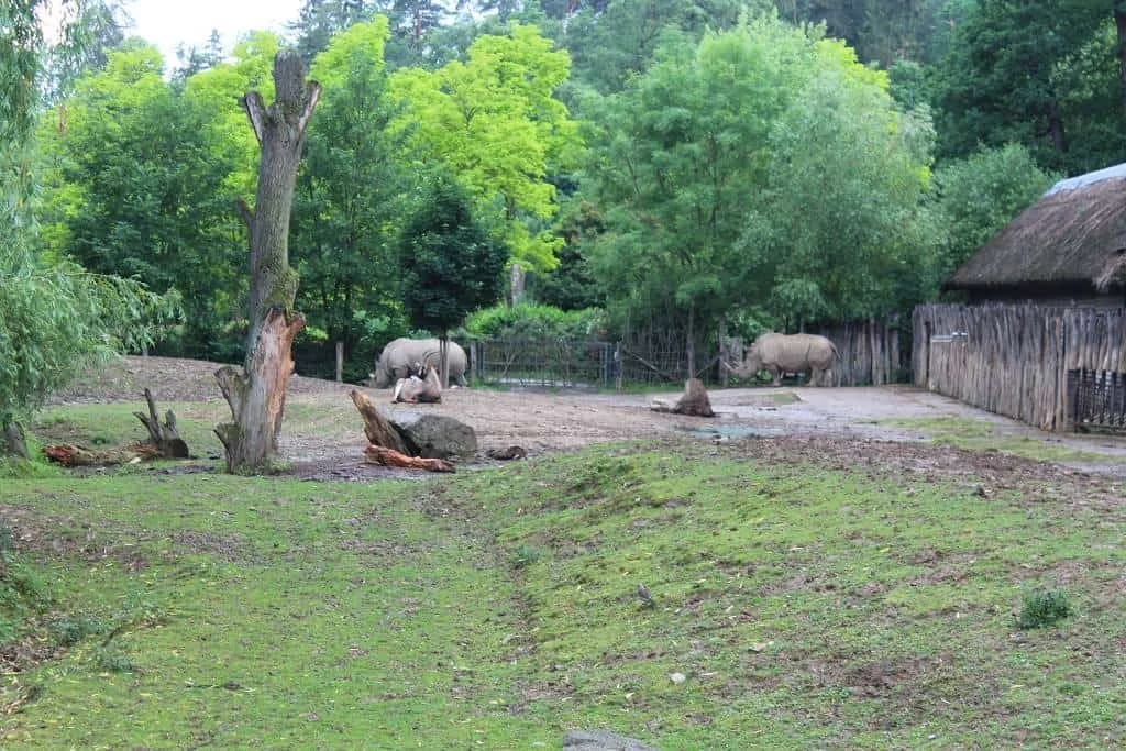 Fotografie z článku: Výlet Sluníček a Koťat do Lešné