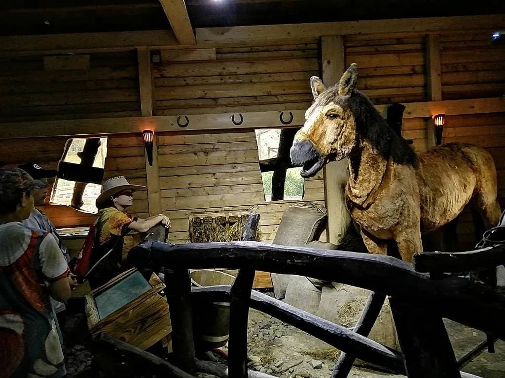 Fotografie z článku: Škola v přírodě - Březová