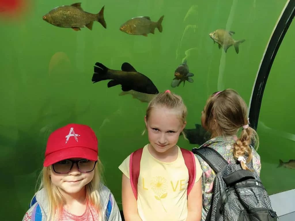 Fotografie z článku: Přívesnický tábor 2022