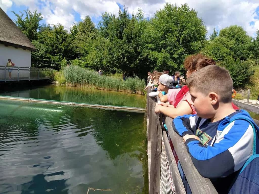 Fotografie z článku: Přívesnický tábor 2022