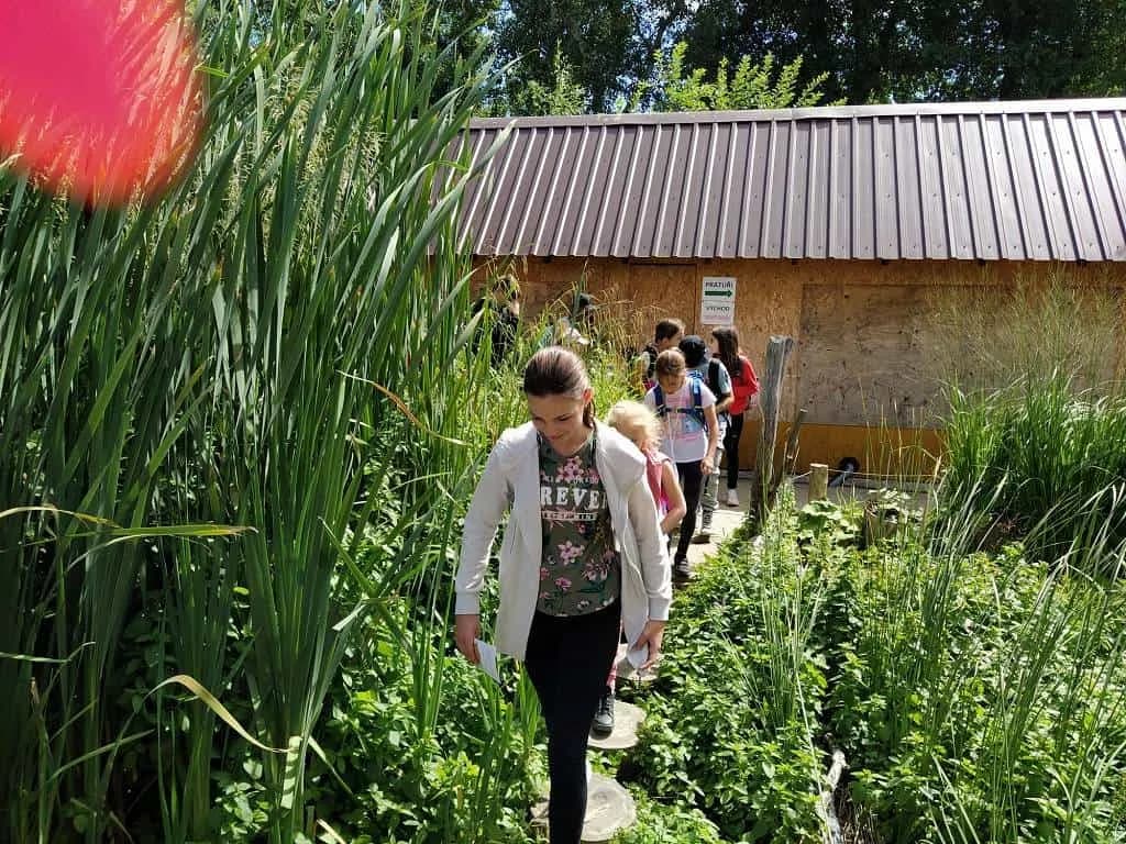 Fotografie z článku: Přívesnický tábor 2022