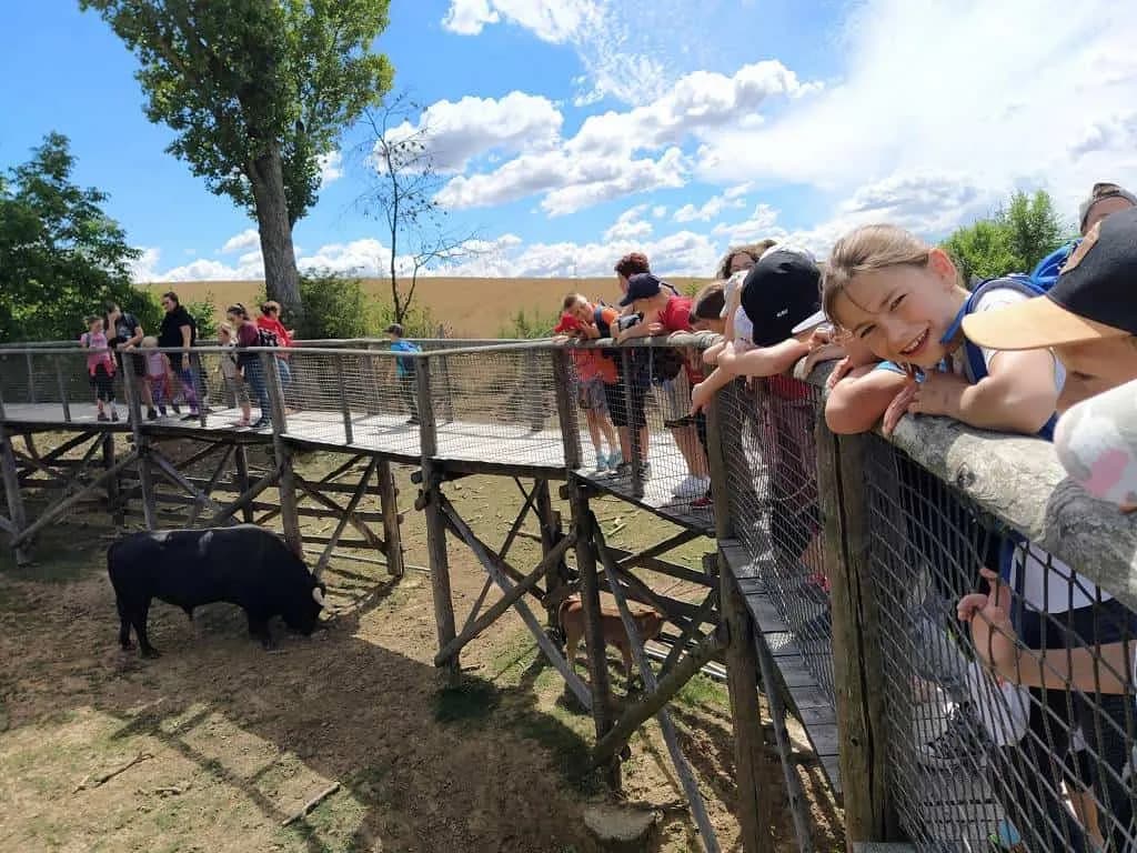 Fotografie z článku: Přívesnický tábor 2022