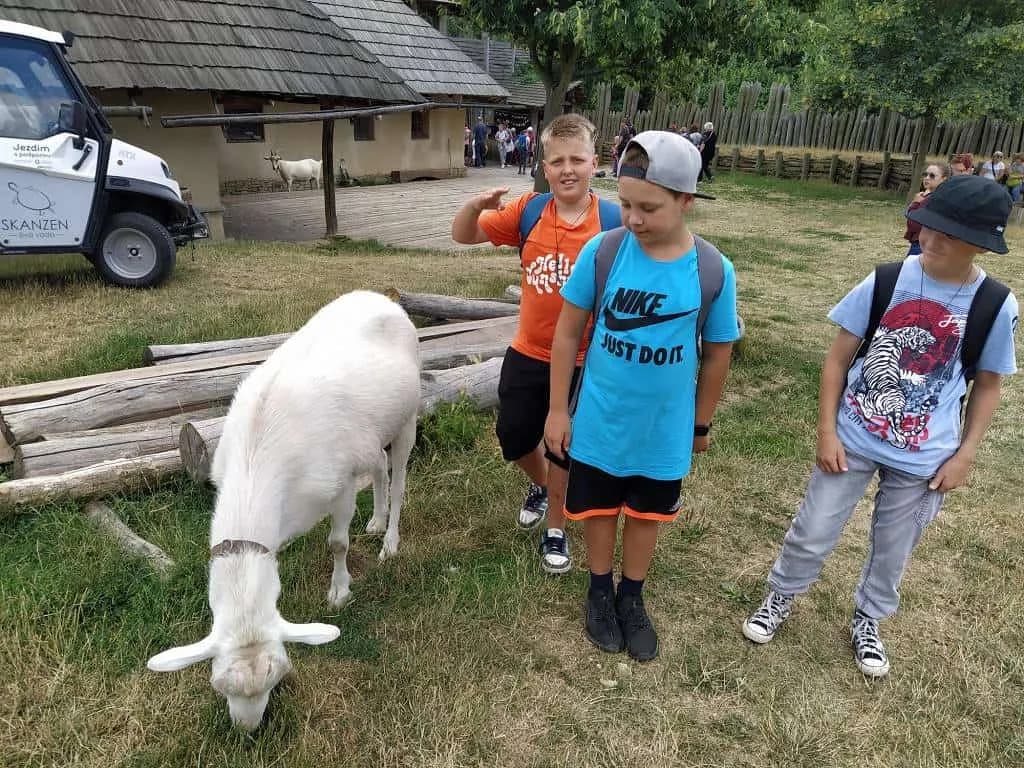 Fotografie z článku: Přívesnický tábor 2022