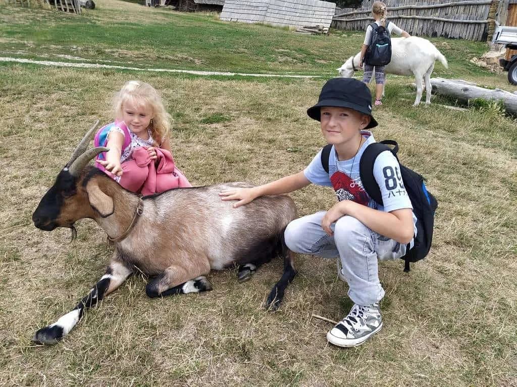Fotografie z článku: Přívesnický tábor 2022