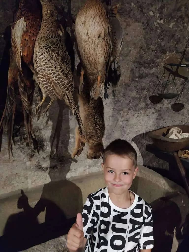 Fotografie z článku: Přívesnický tábor 2022