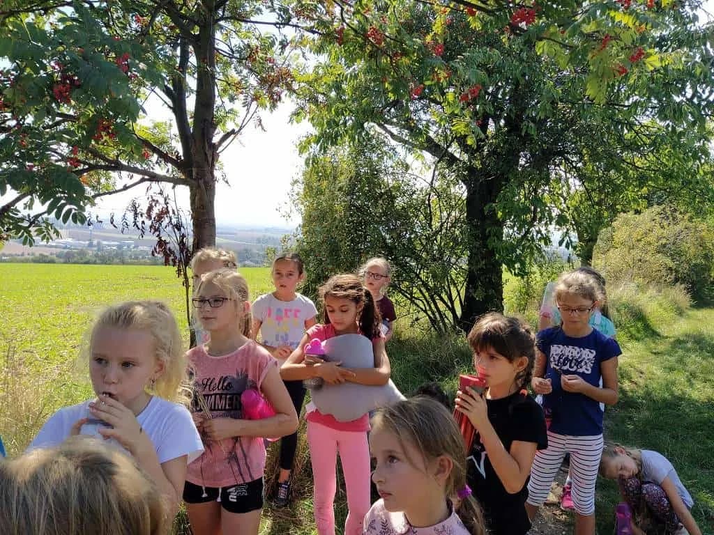 Fotografie z článku: Netradiční soví závody