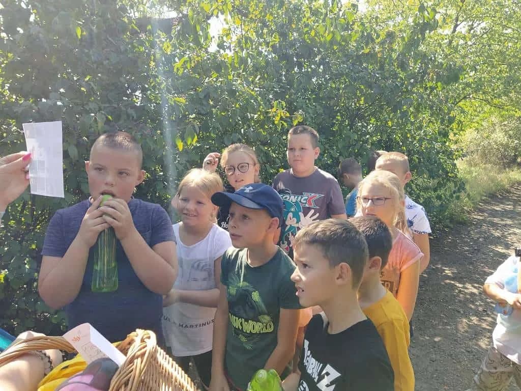 Fotografie z článku: Netradiční soví závody