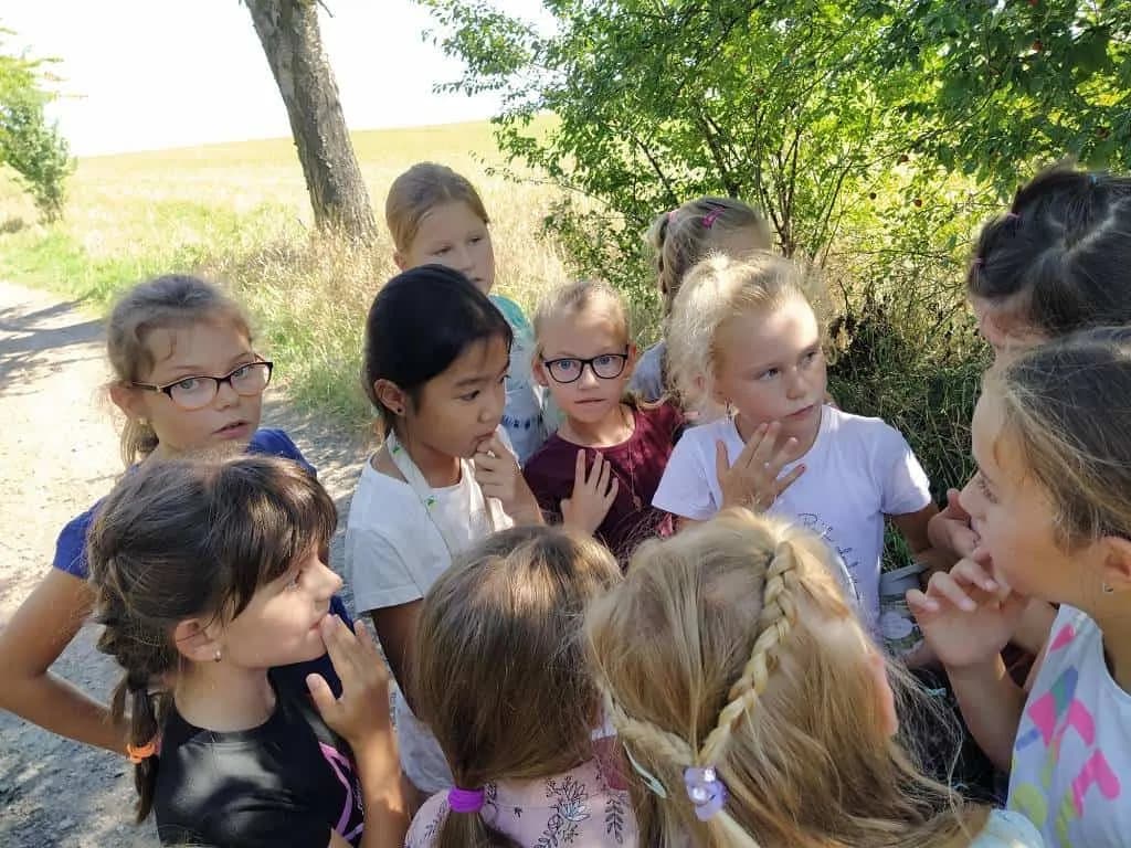 Fotografie z článku: Netradiční soví závody