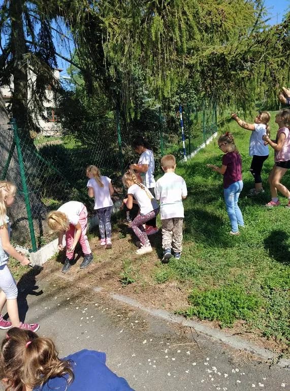 Fotografie z článku: Netradiční soví závody