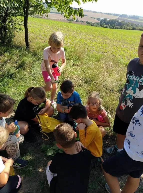 Fotografie z článku: Netradiční soví závody