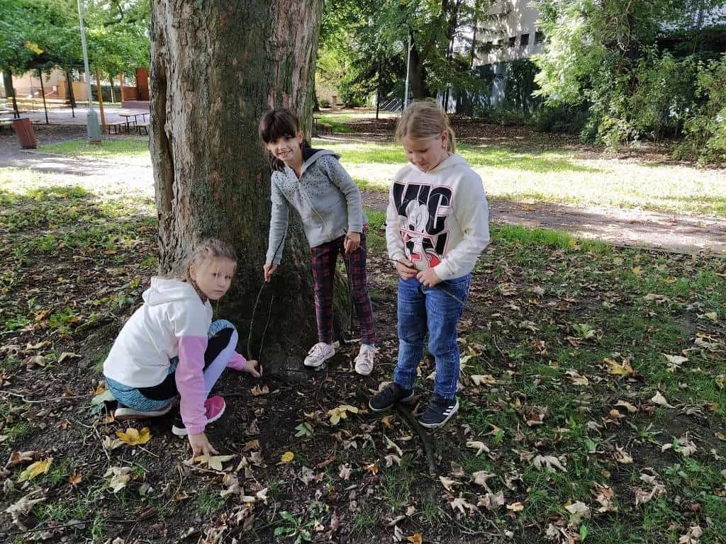 Fotografie z článku: Sovičky na procházce se skřítkem Podzimníčkem