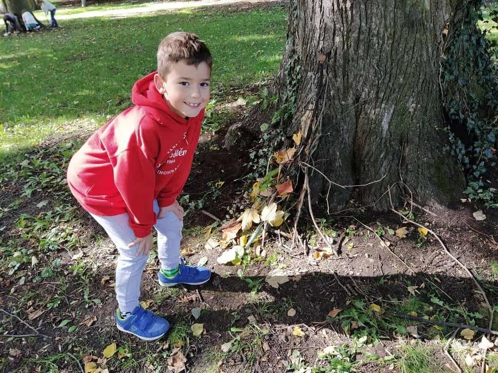 Fotografie z článku: Sovičky na procházce se skřítkem Podzimníčkem