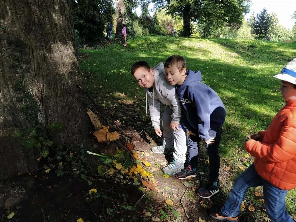 Fotografie z článku: Sovičky na procházce se skřítkem Podzimníčkem