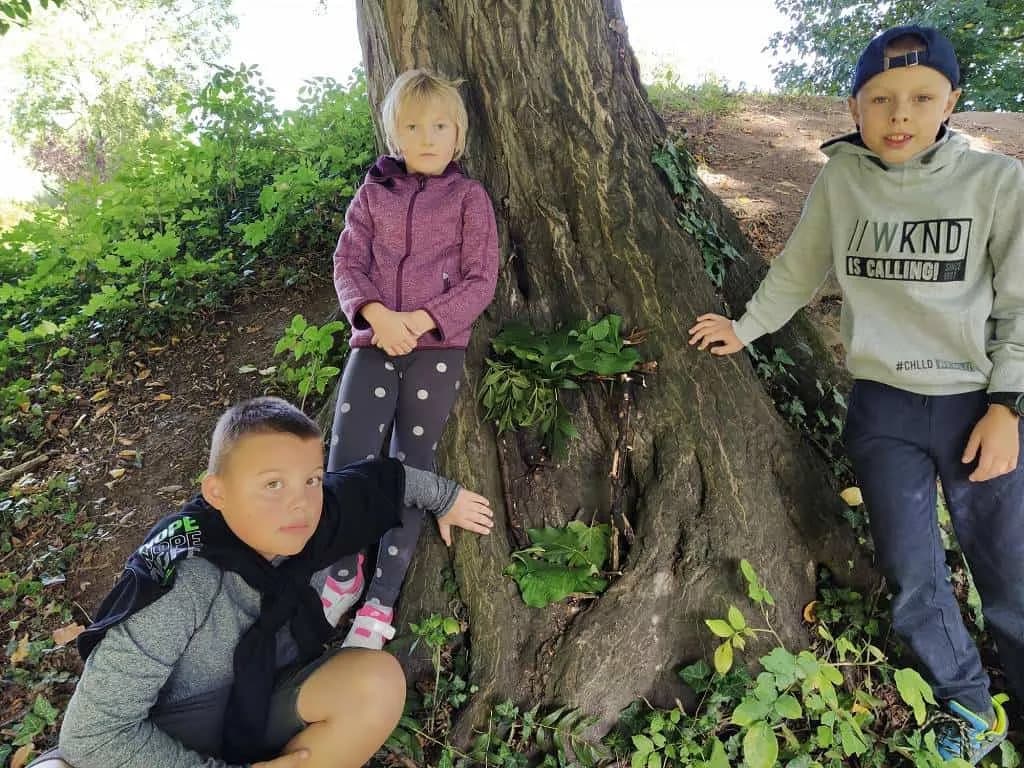 Fotografie z článku: Sovičky na procházce se skřítkem Podzimníčkem