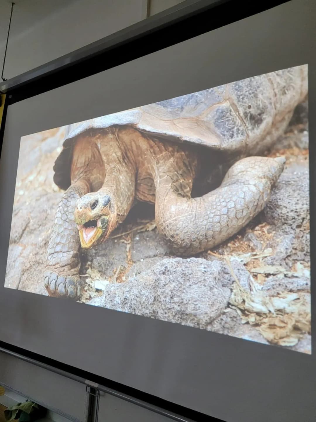 Fotografie z článku: Galapágy