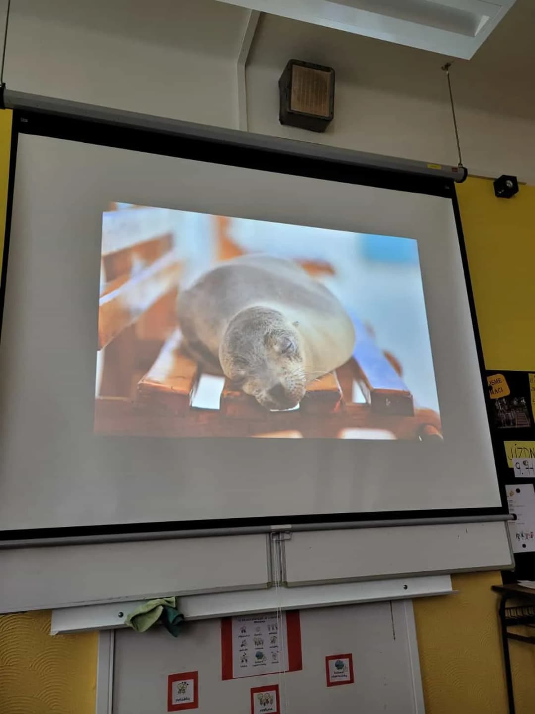 Fotografie z článku: Galapágy