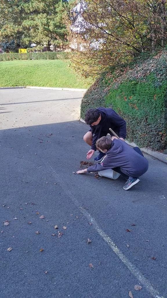 Fotografie z článku: Pracovní činnosti u sedmáků