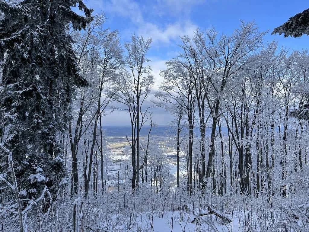Fotografie z článku: Lyžařský a snowboardový zájezd - Javorový vrch