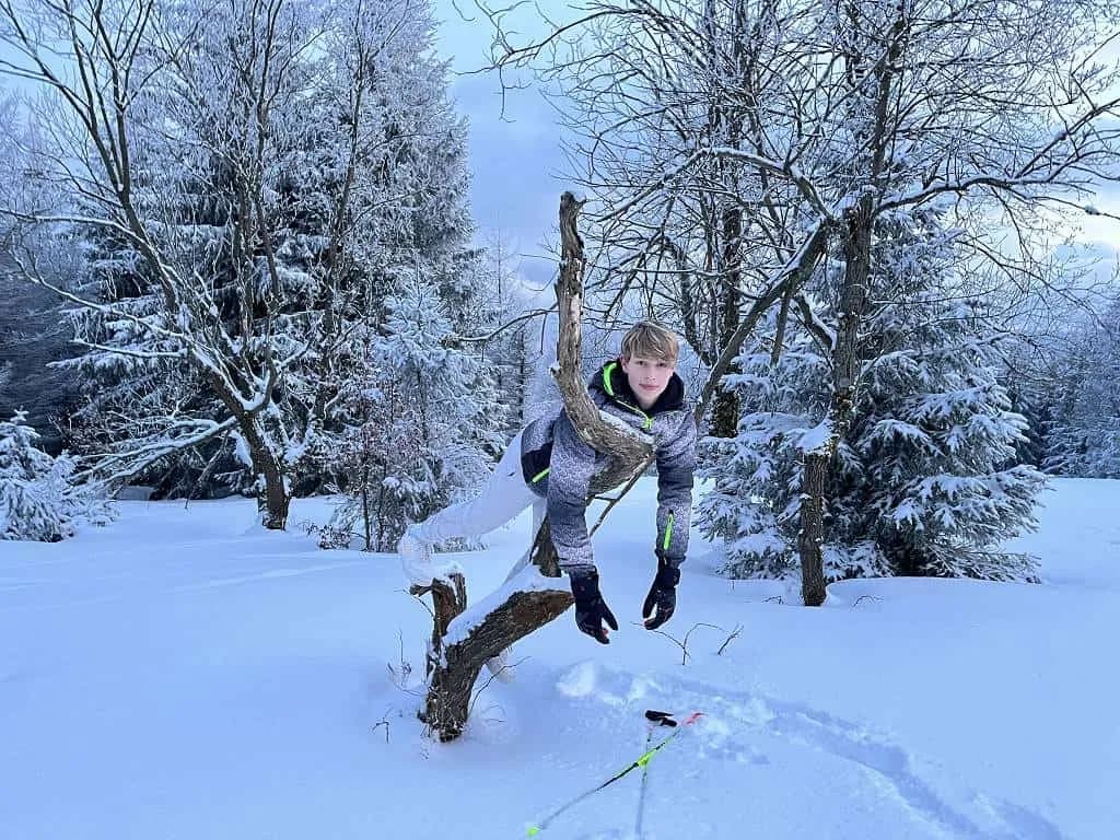 Fotografie z článku: Lyžařský a snowboardový zájezd - Javorový vrch