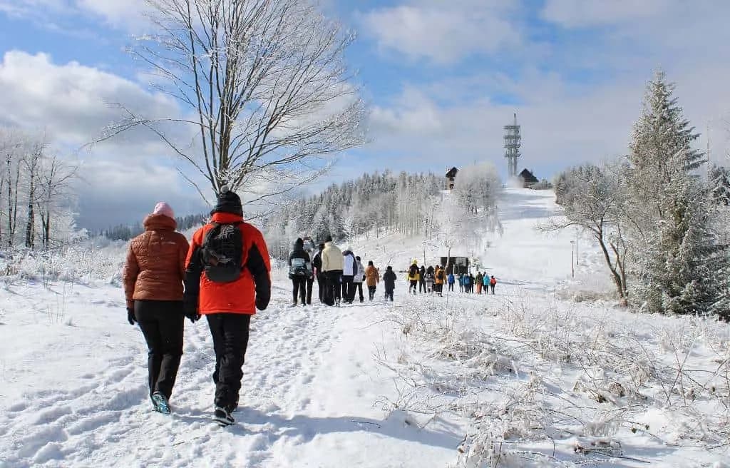 Fotografie z článku: Lyžařský a snowboardový zájezd - Javorový vrch