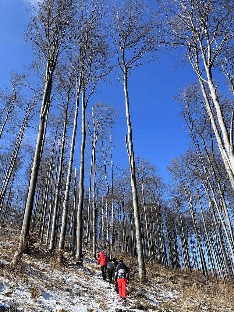 Fotografie z článku: Lyžařský a snowboardový zájezd - Javorový vrch