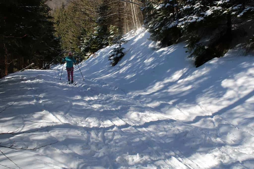 Fotografie z článku: Lyžařský a snowboardový zájezd - Javorový vrch
