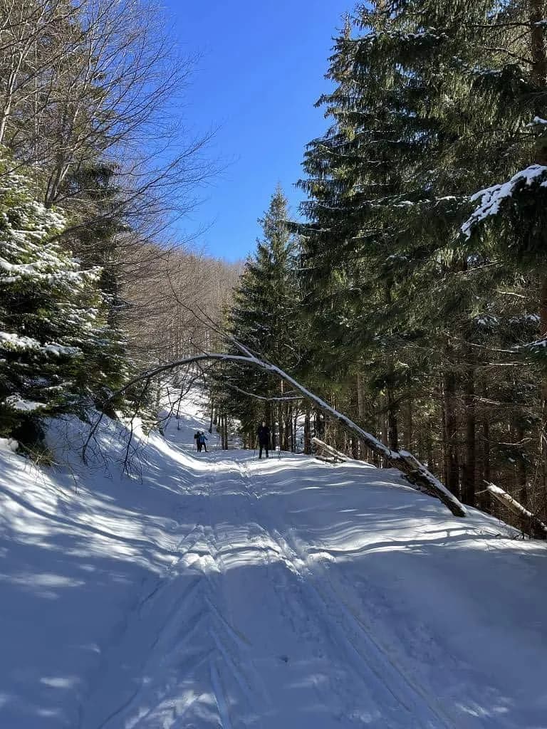 Fotografie z článku: Lyžařský a snowboardový zájezd - Javorový vrch