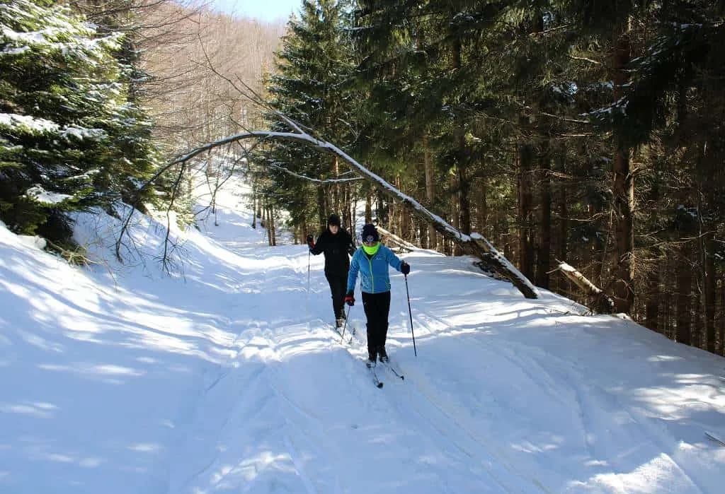 Fotografie z článku: Lyžařský a snowboardový zájezd - Javorový vrch