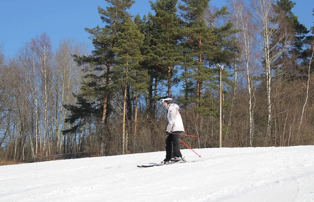 Fotografie z článku: Lyžařský a snowboardový zájezd - Javorový vrch