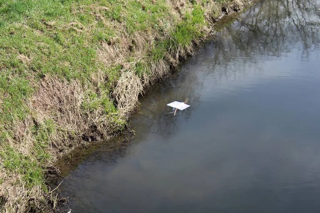 Fotografie z článku: Koťata a Sluníčka vynesli Morenu