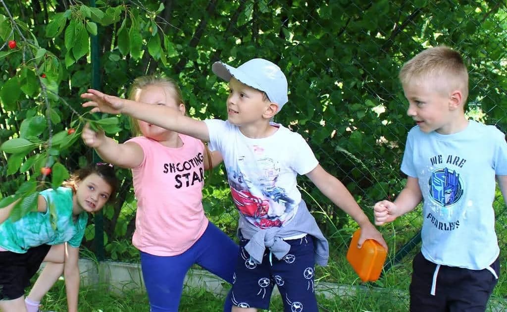 Fotografie z článku: Třešňový výlet