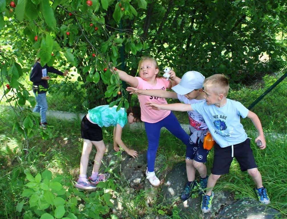 Fotografie z článku: Třešňový výlet