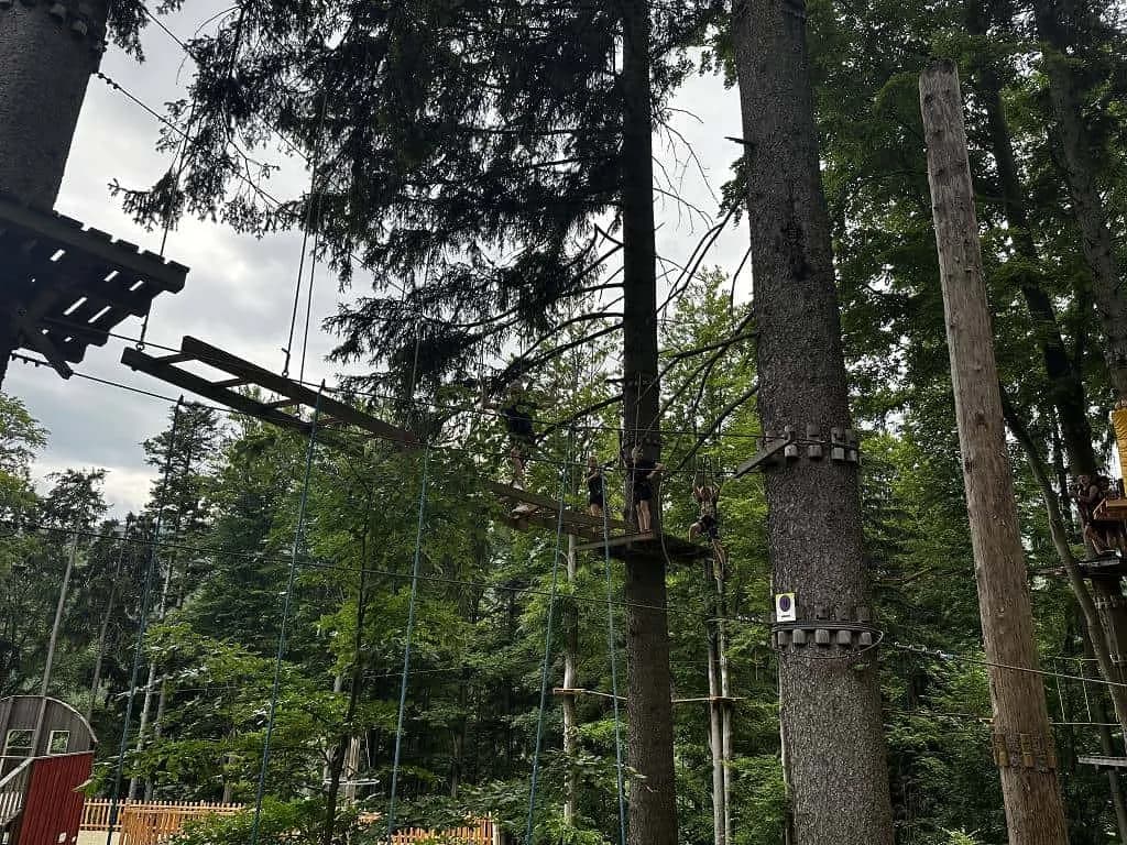 Fotografie z článku: Škola v přírodě na Dolní Moravě