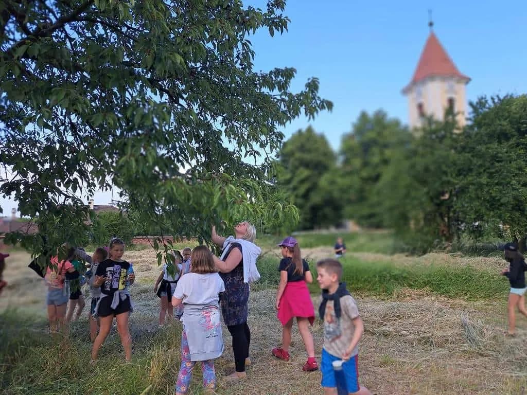 Fotografie z článku: Tajemná noc u Soviček