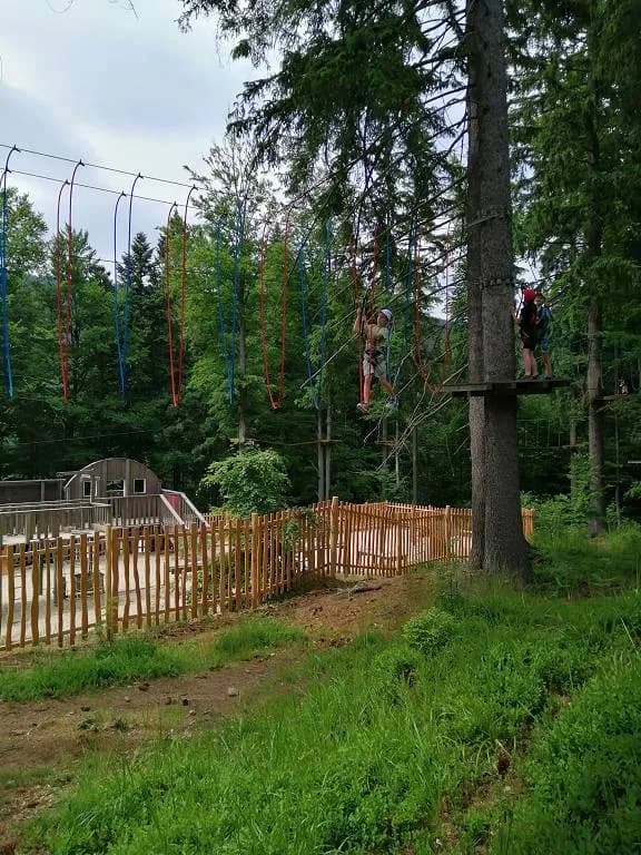 Fotografie z článku: Škola v přírodě na Dolní Moravě