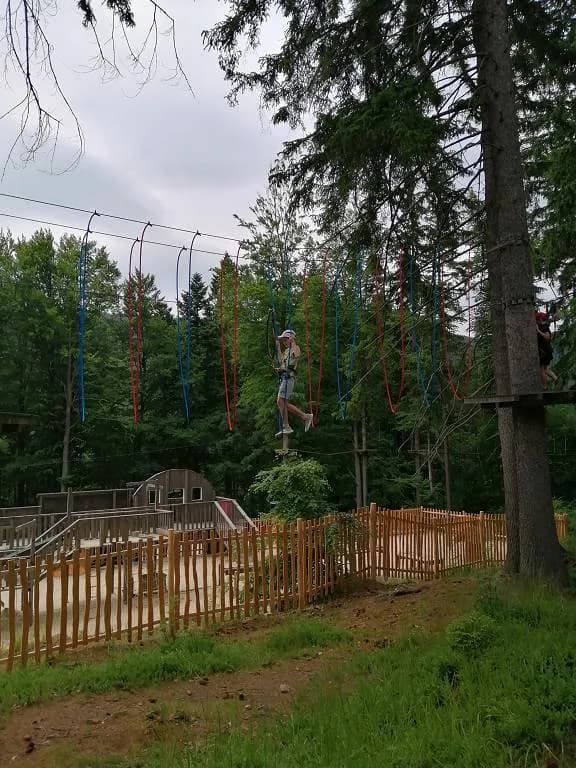 Fotografie z článku: Škola v přírodě na Dolní Moravě