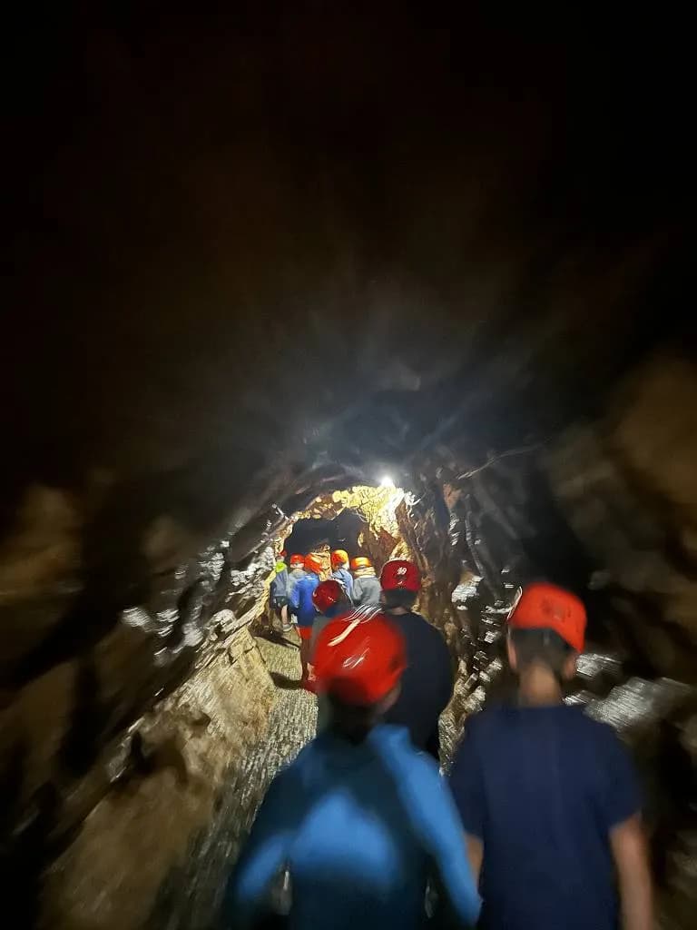 Fotografie z článku: Škola v přírodě na Dolní Moravě