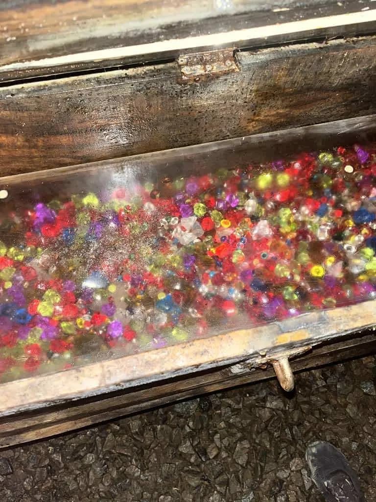 Fotografie z článku: Škola v přírodě na Dolní Moravě