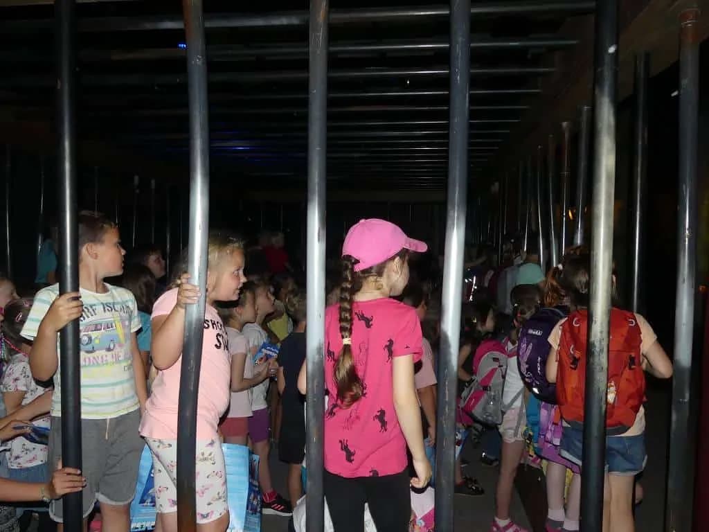 Fotografie z článku: Výlet 1. - 3. tříd do Šmoulí země