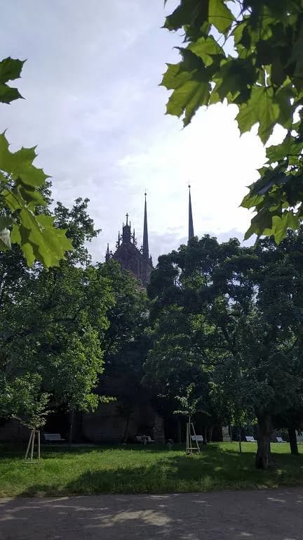 Fotografie z článku: VII.B v Brně
