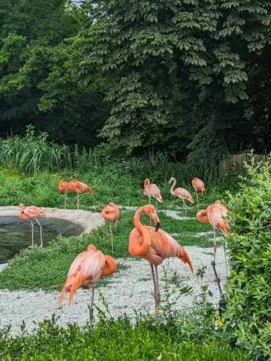 Fotografie z článku: Výlet šesťáků do Ostravy