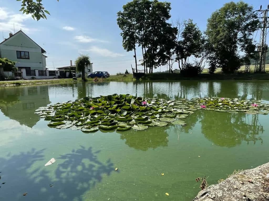 Fotografie z článku: Školní výlet VII. A do Roudnice n. L.