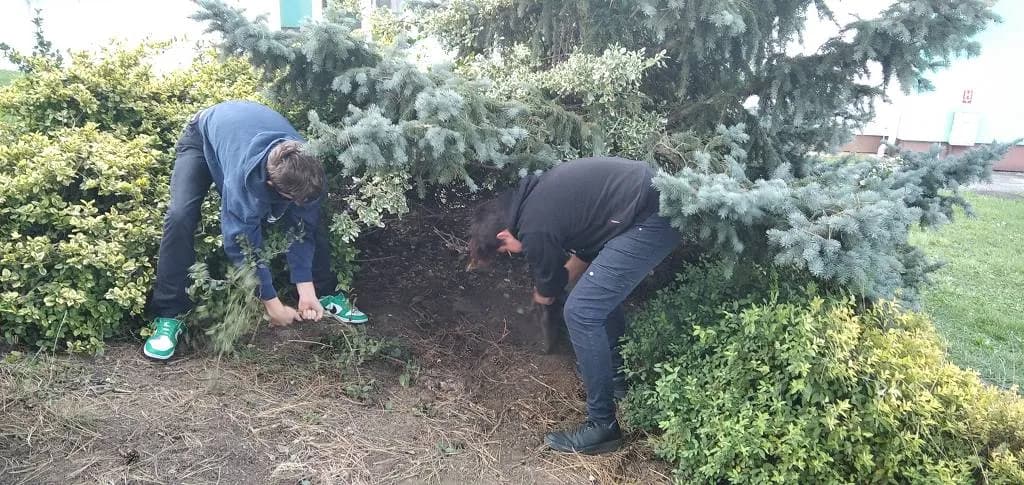 Fotografie z článku: Zahradníci z deváté třídy