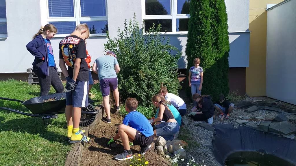 Fotografie z článku: Sedmáci pečují o školní zahradu a jezírko