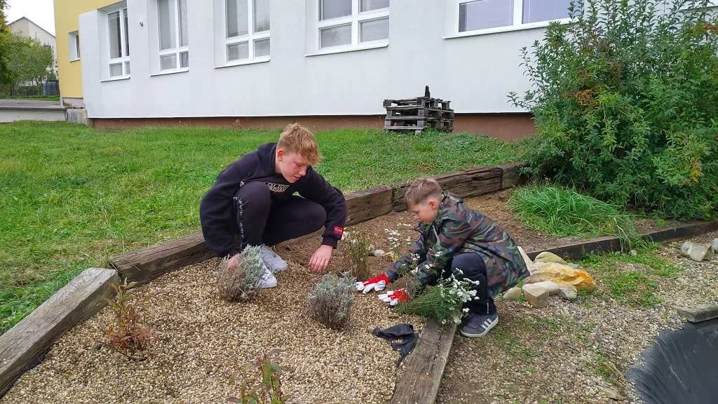 Fotografie z článku: Sedmáci pečují o školní zahradu a jezírko