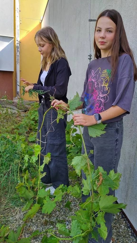 Fotografie z článku: Sedmáci pečují o školní zahradu a jezírko