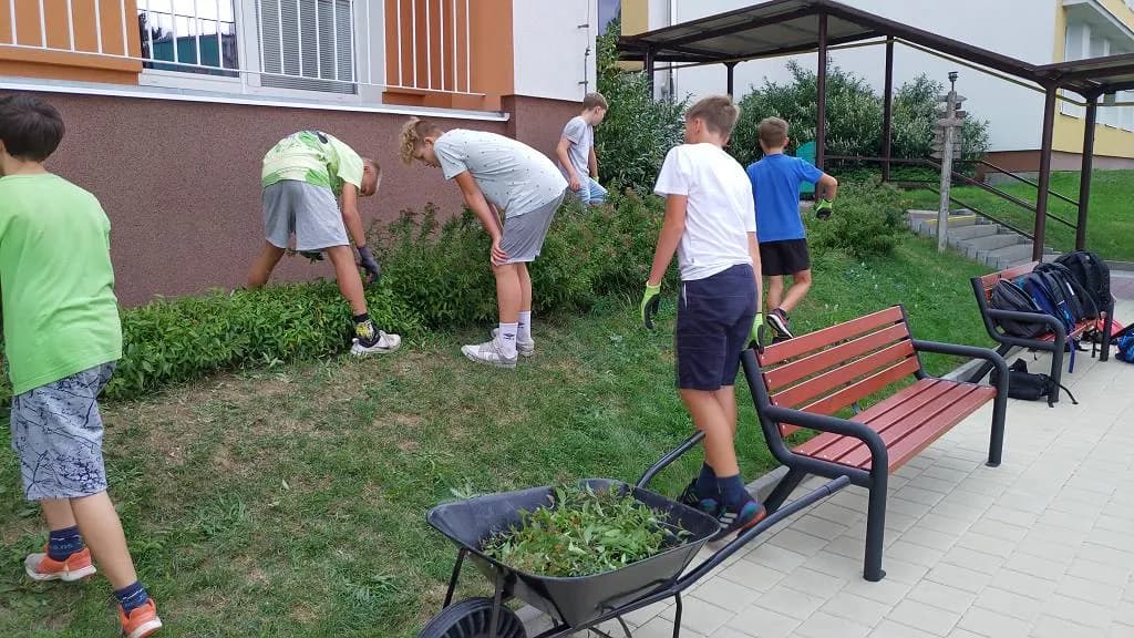 Fotografie z článku: Sedmáci pečují o školní zahradu a jezírko